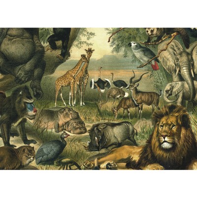 Puzzle Kiub-80301 Animaux Savane