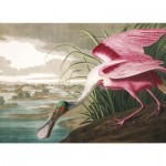 Puzzle  Kiub-80303 Oiseau Rose