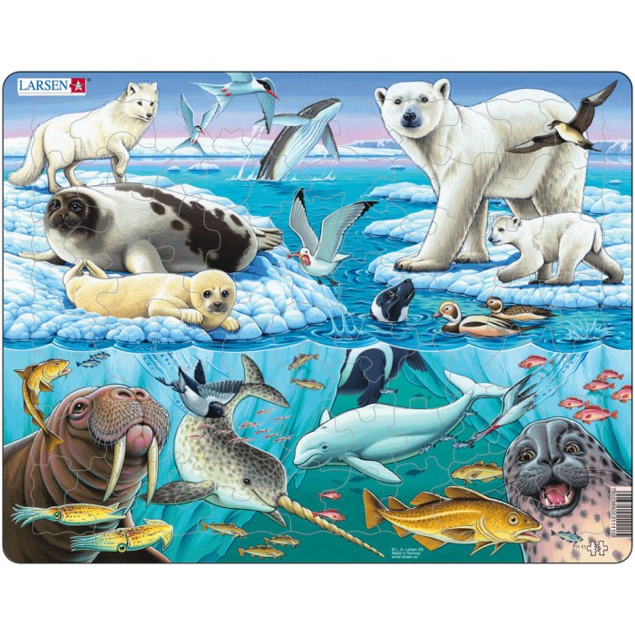 Larsen-FH11 Puzzle Cadre - Les Animaux de la Banquise