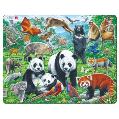 Larsen-FH43 Puzzle Cadre - Panda Bear Family on a China Mountain Plateau