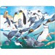 Puzzle Cadre - Les Pingouins