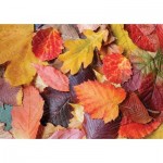Puzzle  Magnolia-3525 Colorful Leaves