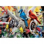 Puzzle  Master-Pieces-31978 Backyard Birds