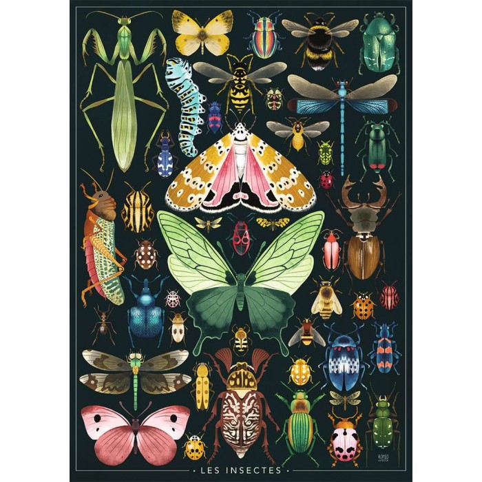 Puzzle  Nathan-00897 Les Insectes - Rebecca Romeo