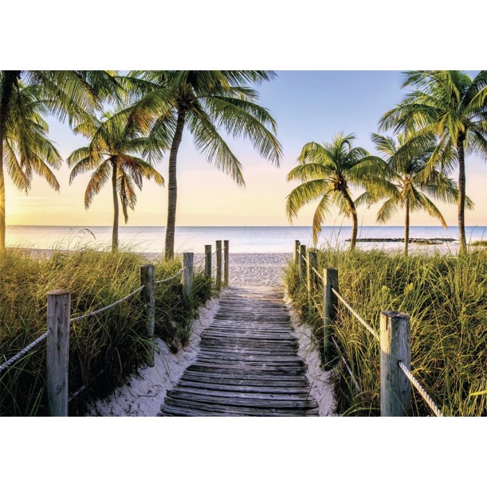 Puzzle Nathan-00916 Plage de Floride