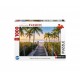 Plage de Floride
