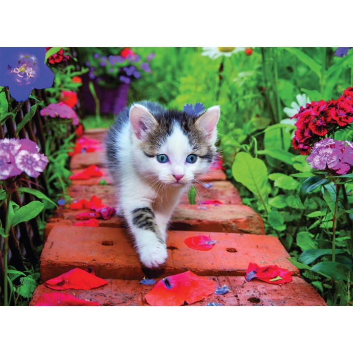 Puzzle  Nathan-00968 Chaton