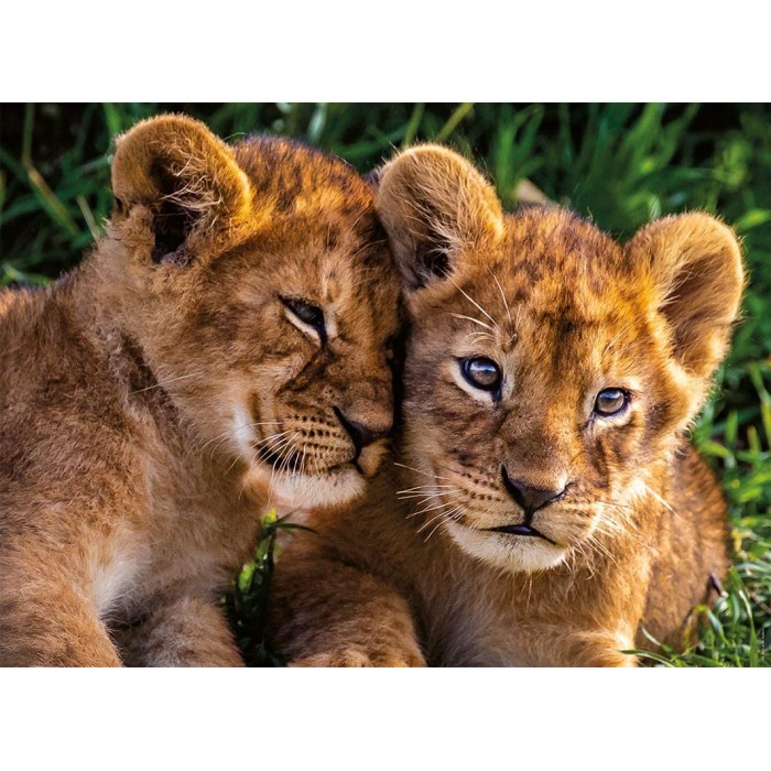 Puzzle  Nathan-86881 Adorable Lion Babies