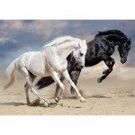 Puzzle   Galop Sauvage
