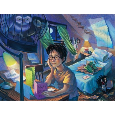 Puzzle New-York-Puzzle-HP2020 Pièces XXL - Harry Potter - Counting the Days