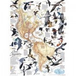 Puzzle  New-York-Puzzle-NG1715 Bird Migration