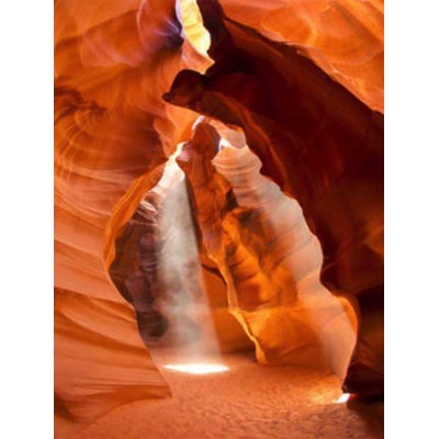 Puzzle New-York-Puzzle-NG2023 Pièces XXL - Antelope Canyon