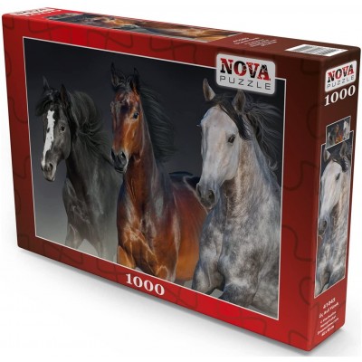 Puzzle Nova-Puzzle-41045 Trois Coeurs Nobles