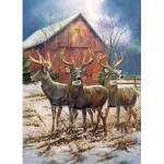 Puzzle  Cobble-Hill-80191 Three Kings