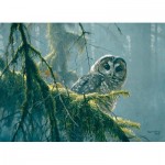 Puzzle  Cobble-Hill-85002 Pièces XXL - Mossy Branches - Spotted Owl