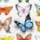 Puzzle en Plastique - Beautiful Butterflies