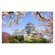 Puzzle en Plastique - Himeji-jo Castle in Spring Cherry Blossoms