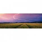 Puzzle  Ravensburger-00685 Nature Edition - Orage d'été