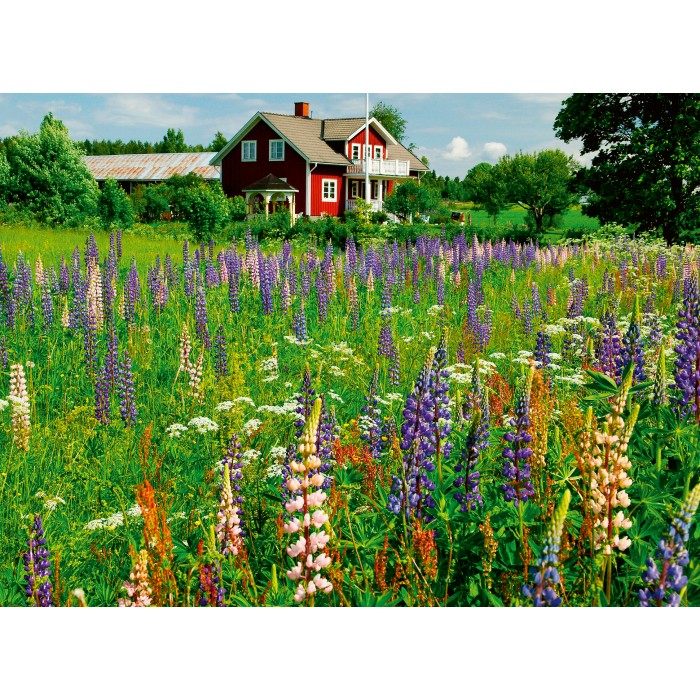  Ravensburger-00844 Ferme en Suède (Puzzle Highlight, Scandinavian)