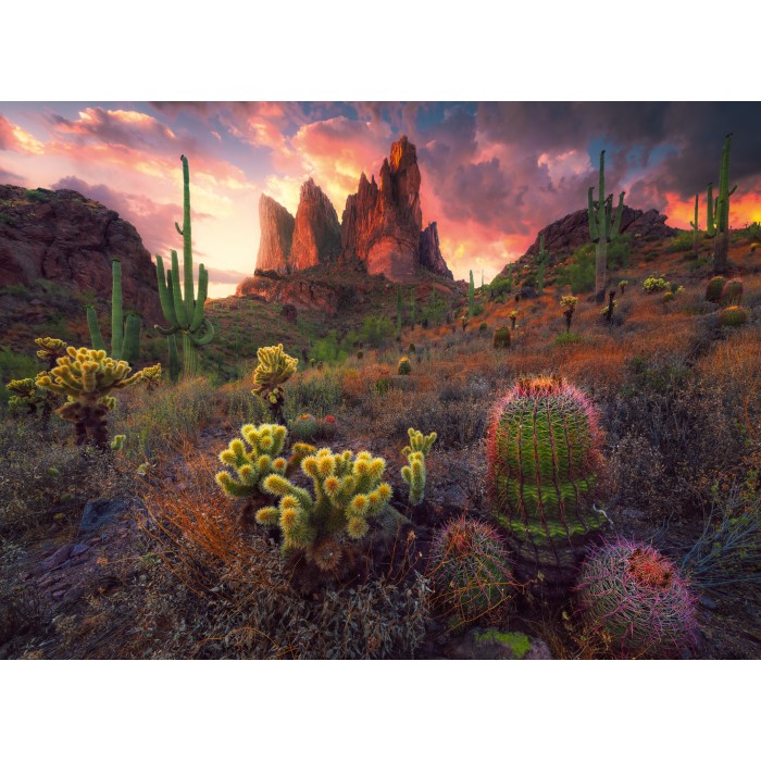 Puzzle  Ravensburger-01380 Cactus Et Épines