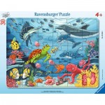  Ravensburger-05566 Puzzle Cadre - Au Fond de la Mer