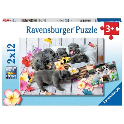 Ravensburger-05636 2 Puzzles - Petites boules de poils