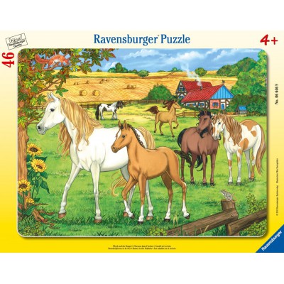 Ravensburger-06646 Puzzle Cadre - Chevaux dans l'Enclos