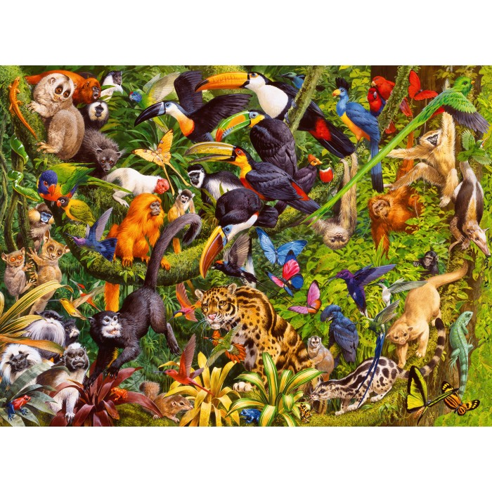 Pièces XXL - Jungle Colorée
