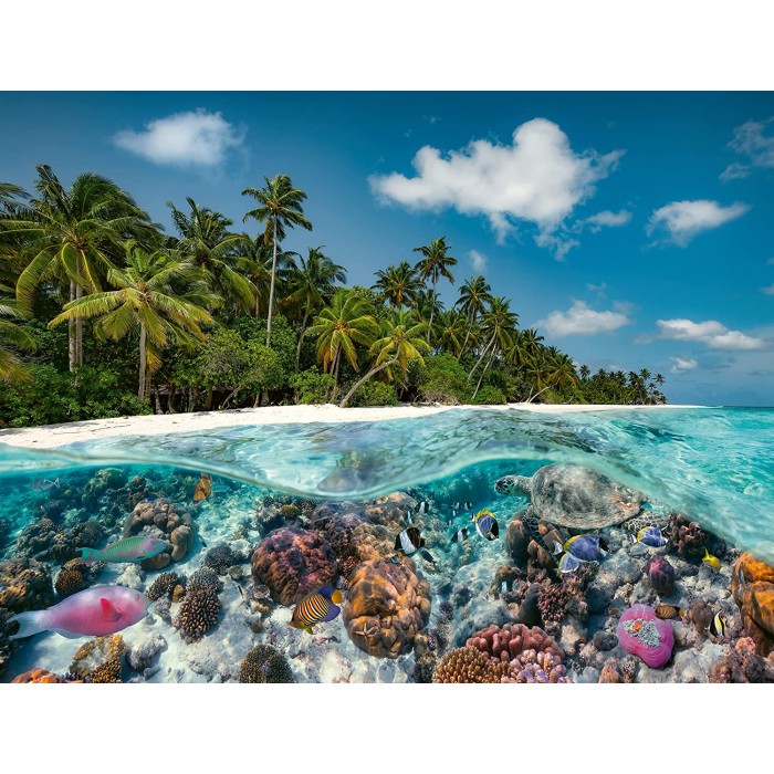 Une plongée aux Maldives