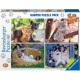 4 Puzzles - Chatons