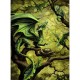 Dragon de la Forêt par Anne Stokes