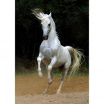 Puzzle  Roovi-65988-01 Cheval blanc