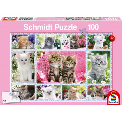 Puzzle Schmidt-Spiele-56135 Chatons