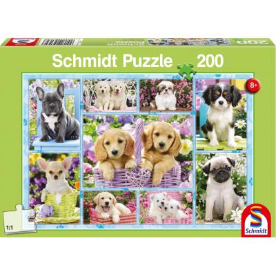 Puzzle Schmidt-Spiele-56162 Chiots