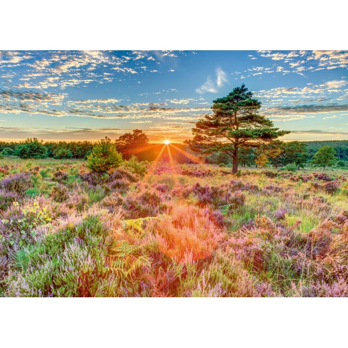 Puzzle   Crépuscule sur la Lande