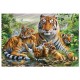 Famille de Tigres