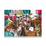 Puzzle  Star-Puzzle-0356 Maison de Chat