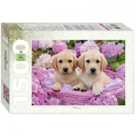 Puzzle  Step-Puzzle-83069 Chiots