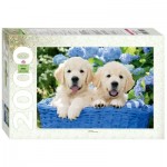 Puzzle  Step-Puzzle-84040 Chiots dans un Panier