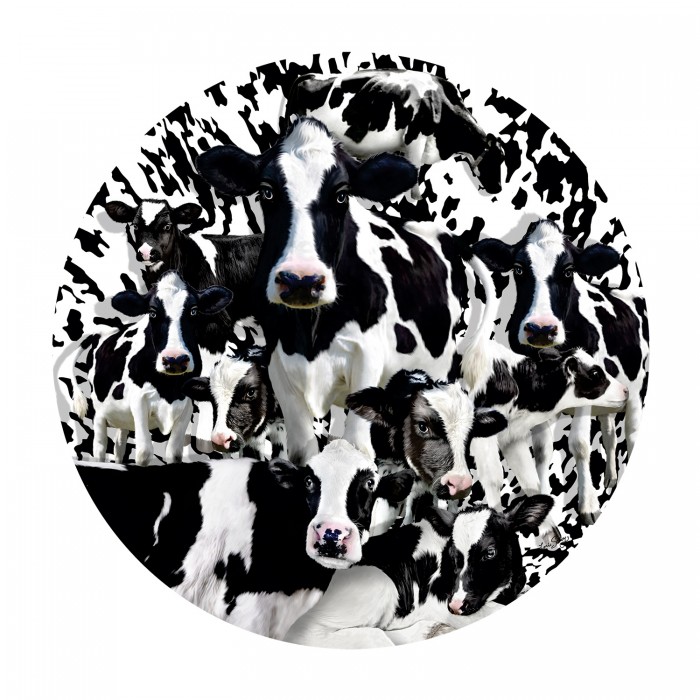 Lori Schory - Herd of Cows