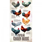 Puzzle  Sunsout-66409 Pièces XXL - Races de Poulet Populaires