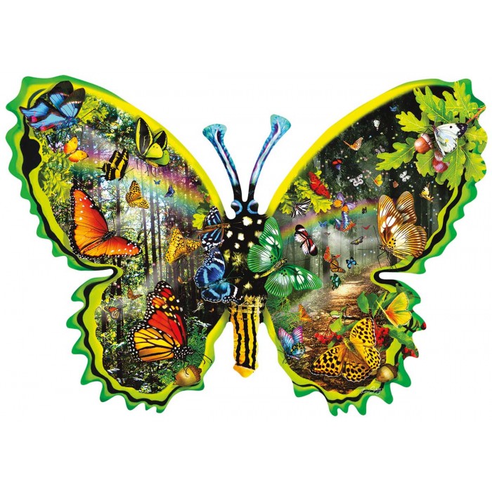 Lori Schory - Butterfly Migration