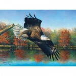 Puzzle   Abraham Hunter - Wetlands Eagle