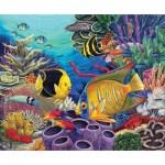 Puzzle   Coral Reef