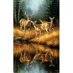 Puzzle   Rosemary Millette - Whitetail Reflections