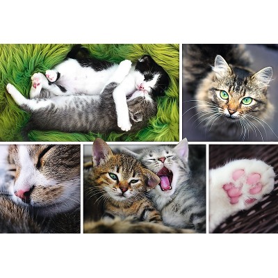 Puzzle Trefl-26145 Collage - Chats