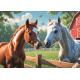 Chevaux dans la Clairière