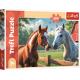 Chevaux dans la Clairière