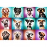 Puzzle   Funny Dog Portraits