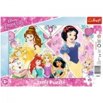   Puzzle Cadre - Disney Princess